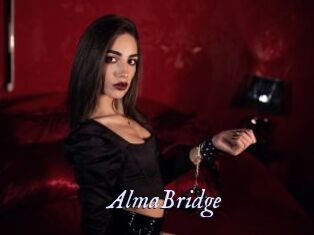 AlmaBridge