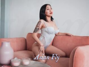 Asian_Fly