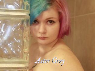 Aster_Grey