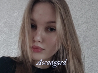 Accaagard