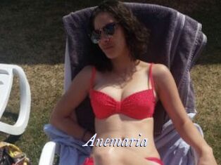 Anemaria