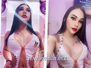 Anthonella_hot1