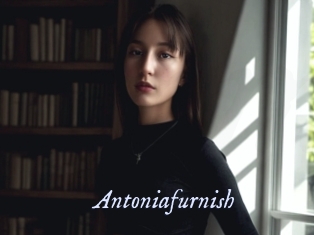 antoniafurnish 1 chatte mouillée