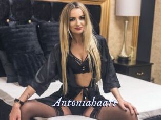 Antoniahaart