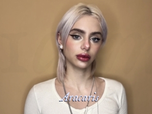 Aracaris
