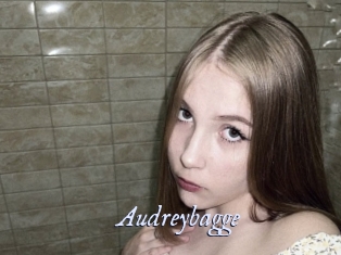 Audreybagge