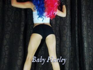 Baby_Harley