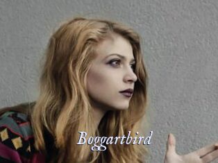 Boggartbird