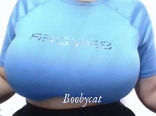 Boobycat