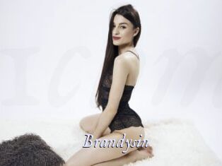 Brandysin