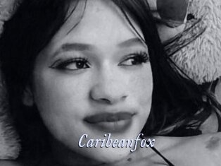 Caribeanfox