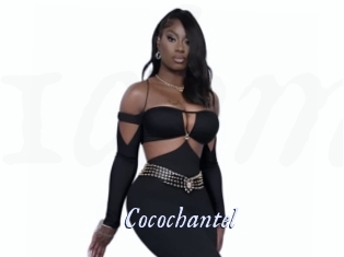 Cocochantel