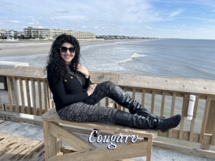 Cougarv