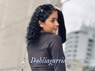 Dahliagarrido