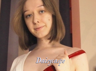 Daisycaspe