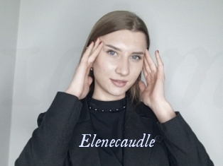 Elenecaudle