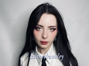 Elenechumley
