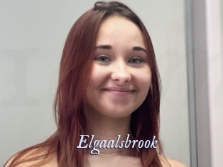 Elgaalsbrook