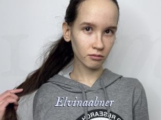 Elvinaabner