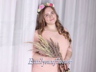 Emilysunflower