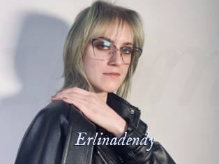 Erlinadendy