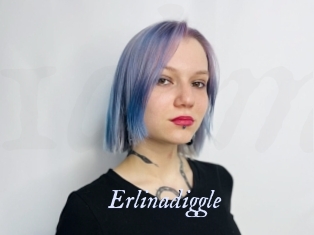 Erlinadiggle