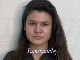 Esmehandley