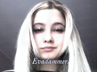 Evadammers