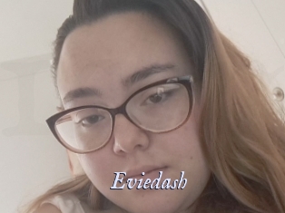 Eviedash