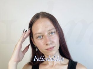 Felicebeldin