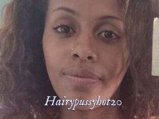 Hairypussyhot20