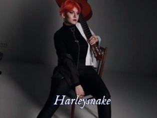 Harleysnake