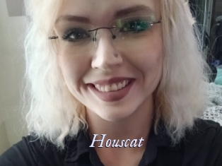 Houscat