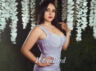 IvanaBird