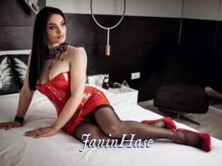 JaninHase