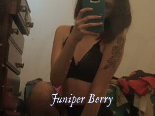 Juniper_Berry