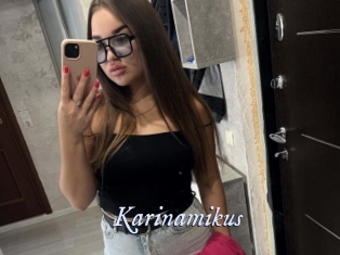 Karinamikus