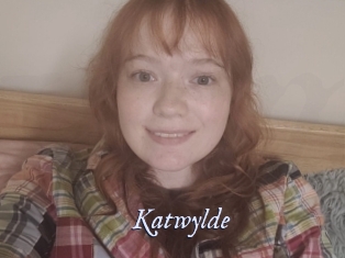 katwylde 1 chatte mouillée