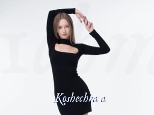 Koshechka_a