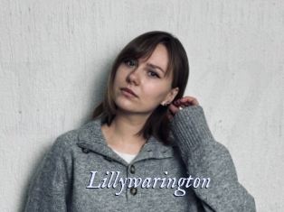 Lillywarington