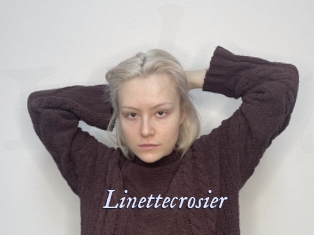 linettecrosier 1 chatte mouillée