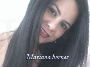 Mariana_hornet