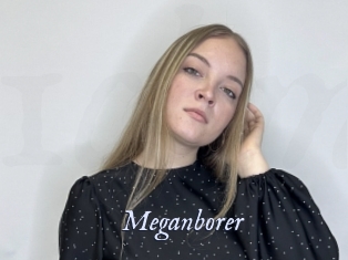 Meganborer