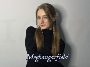 Meghangarfield