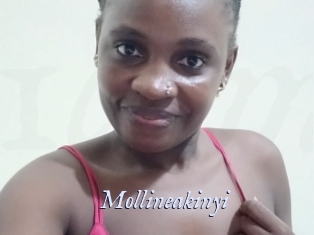 Mollineakinyi