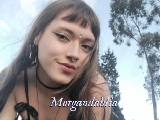 Morgandahlia