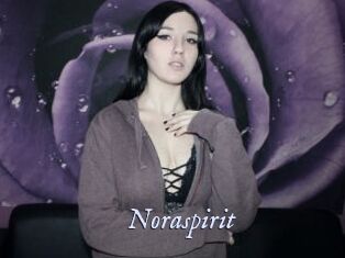 Noraspirit