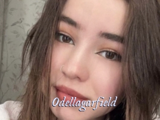 Odellagarfield