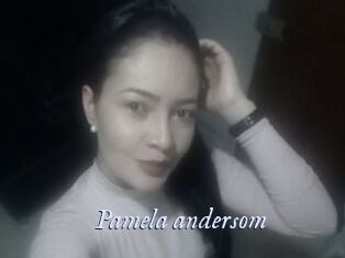 Pamela_andersom