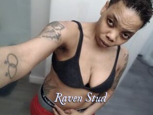 Raven_Stud